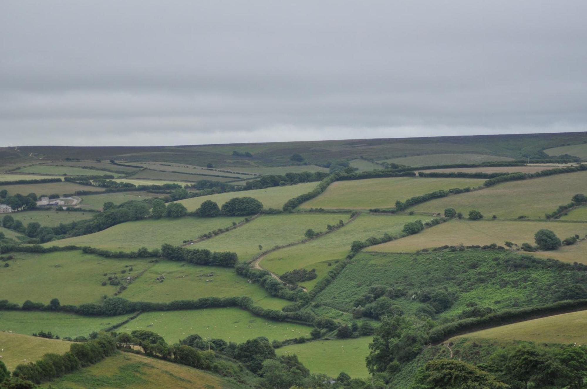 Coombe Farm Bed & Breakfast Lynton Bagian luar foto