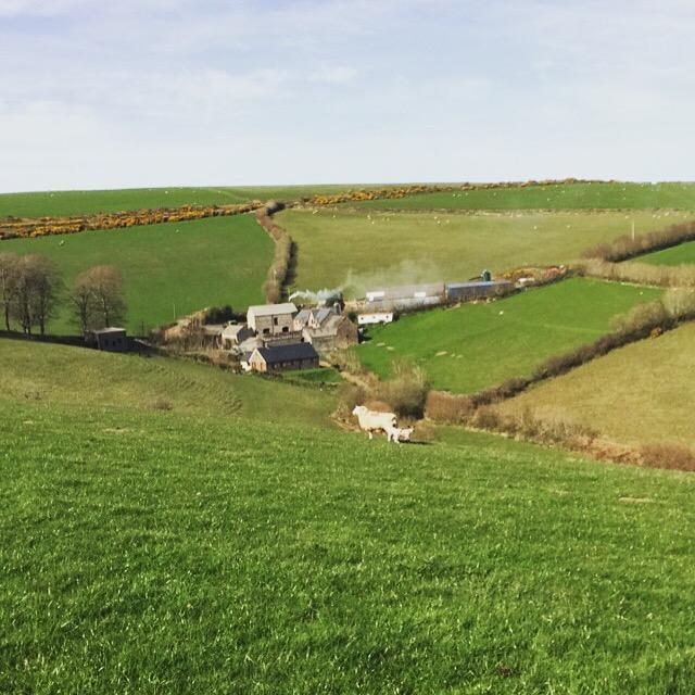 Coombe Farm Bed & Breakfast Lynton Bagian luar foto